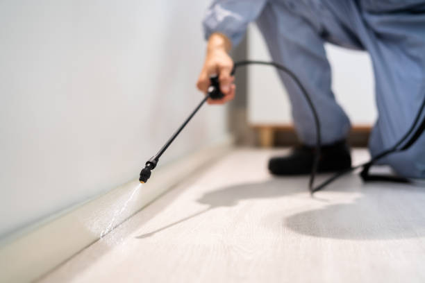 Bed Bug Pre-Treatment Preparation Assessment in Squirrel Mountain Valley