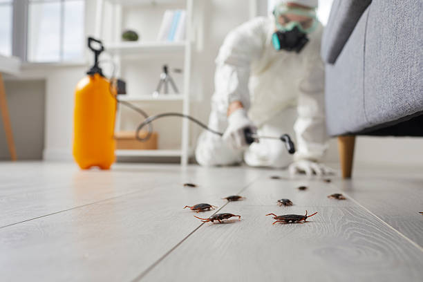 Post-Treatment Bed Bug Interceptor Monitoring in Squirrel Mountain Valley