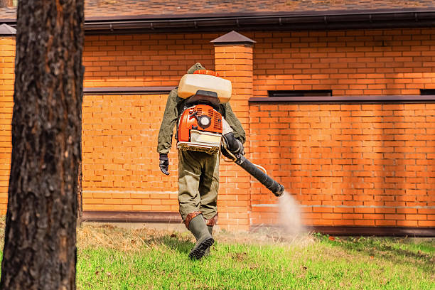 Bed Bug Clearance Verification and Documentation in Squirrel Mountain Valley